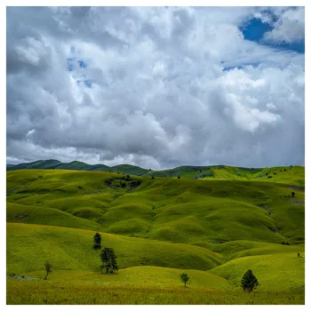 Kitulo National Park