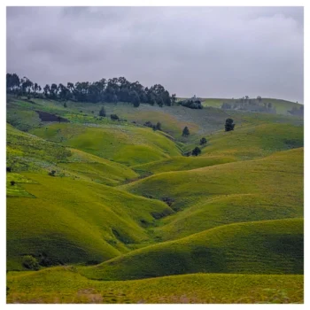 Kitulo National Park