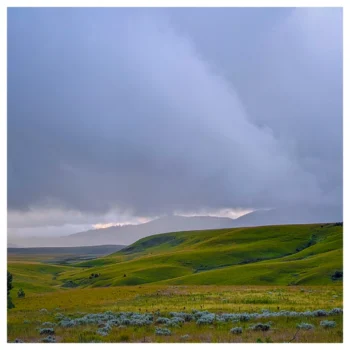 Kitulo National Park