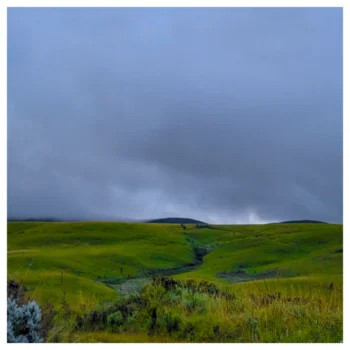 Kitulo National Park