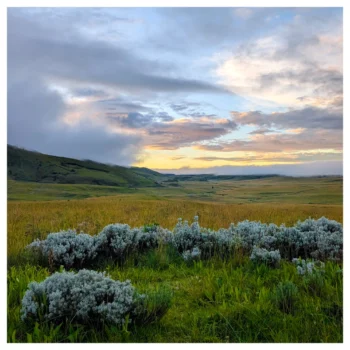 Kitulo National Park