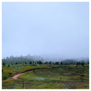 Kitulo National Park
