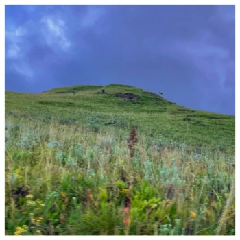 Kitulo National Park