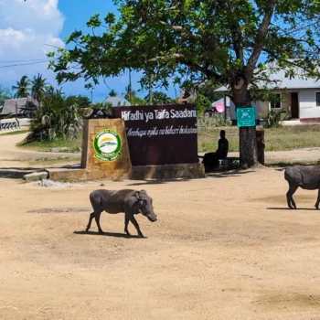 Saadani National Park
