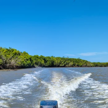 Saadani National Park