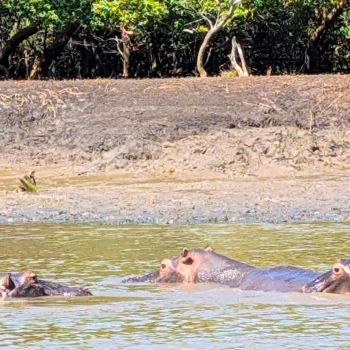 Saadani National Park