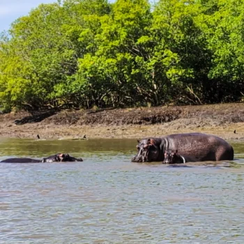 Saadani National Park