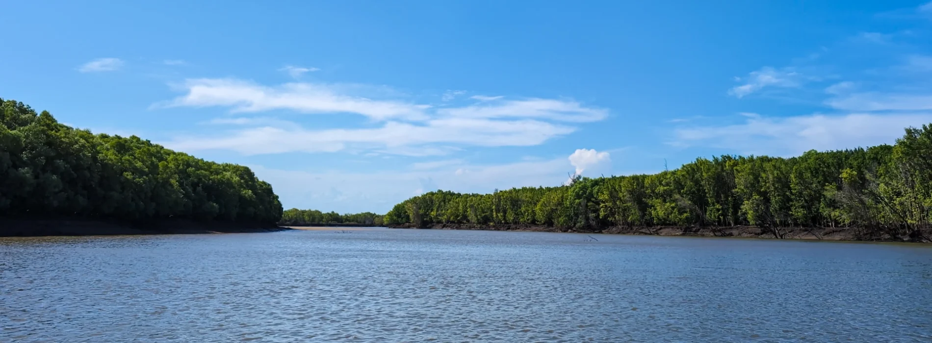 Saadani National Park