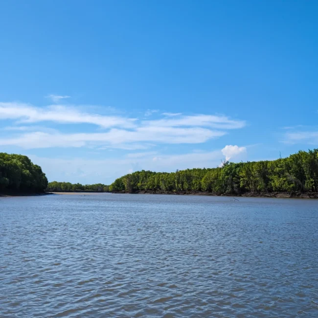 Saadani National Park