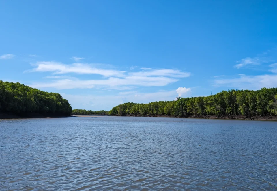Saadani National Park