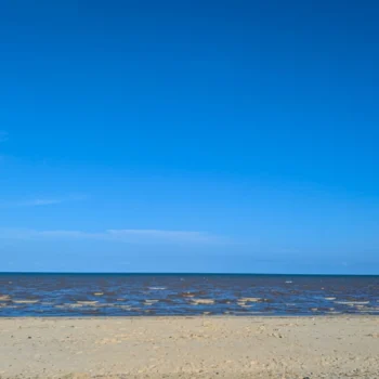 Saadani National Park