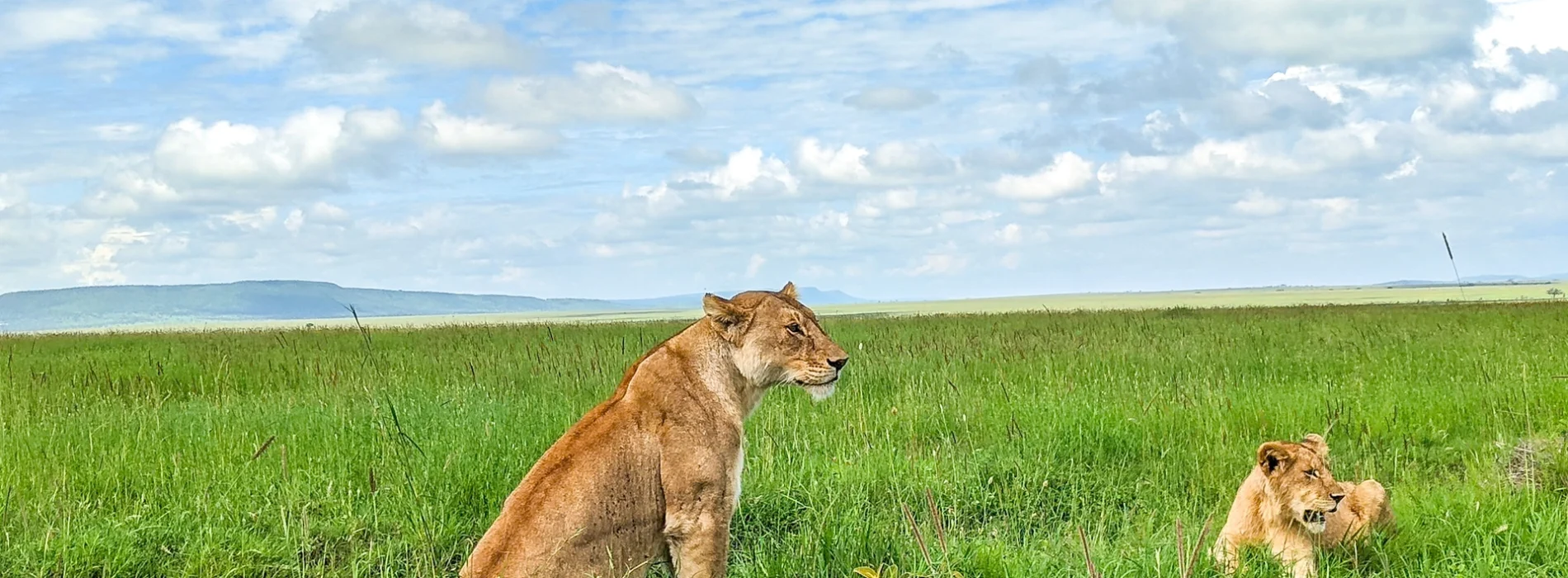 Serengeti National Park