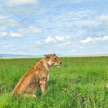 Serengeti National Park
