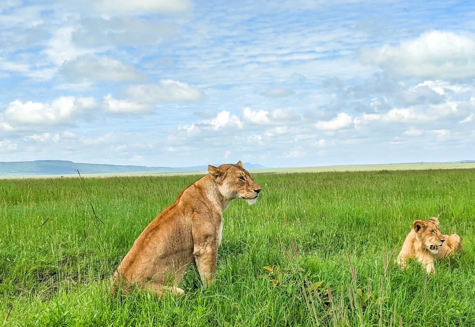 Serengeti National Park